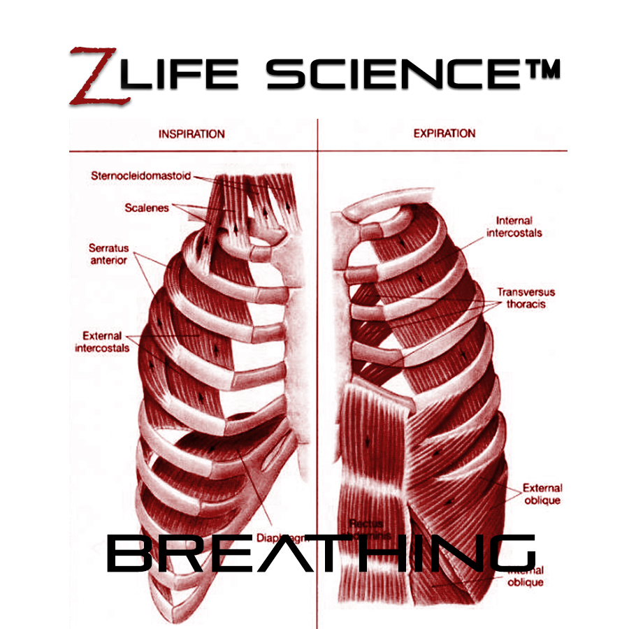 Breathing Card2