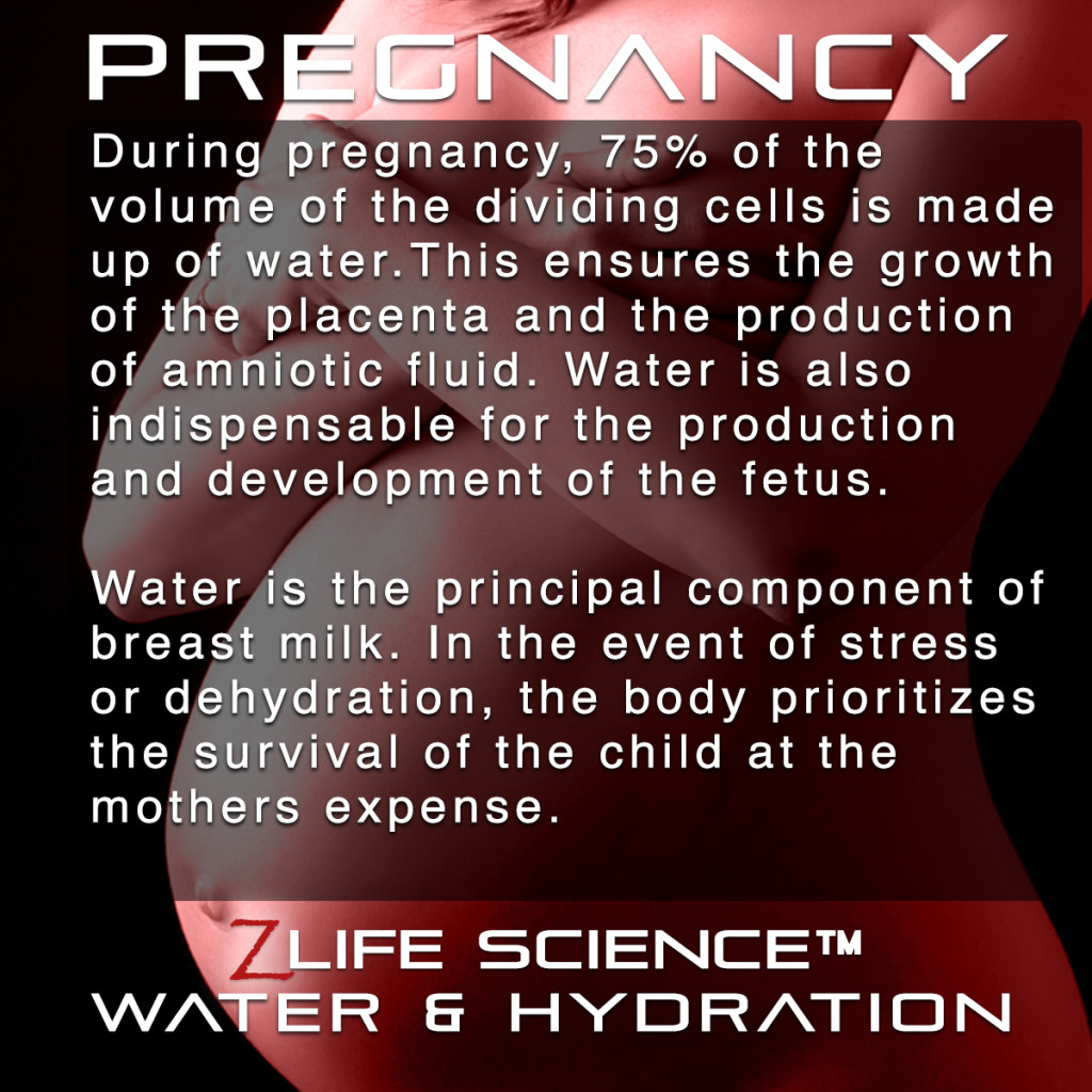 Pregnancy Card ife Science2