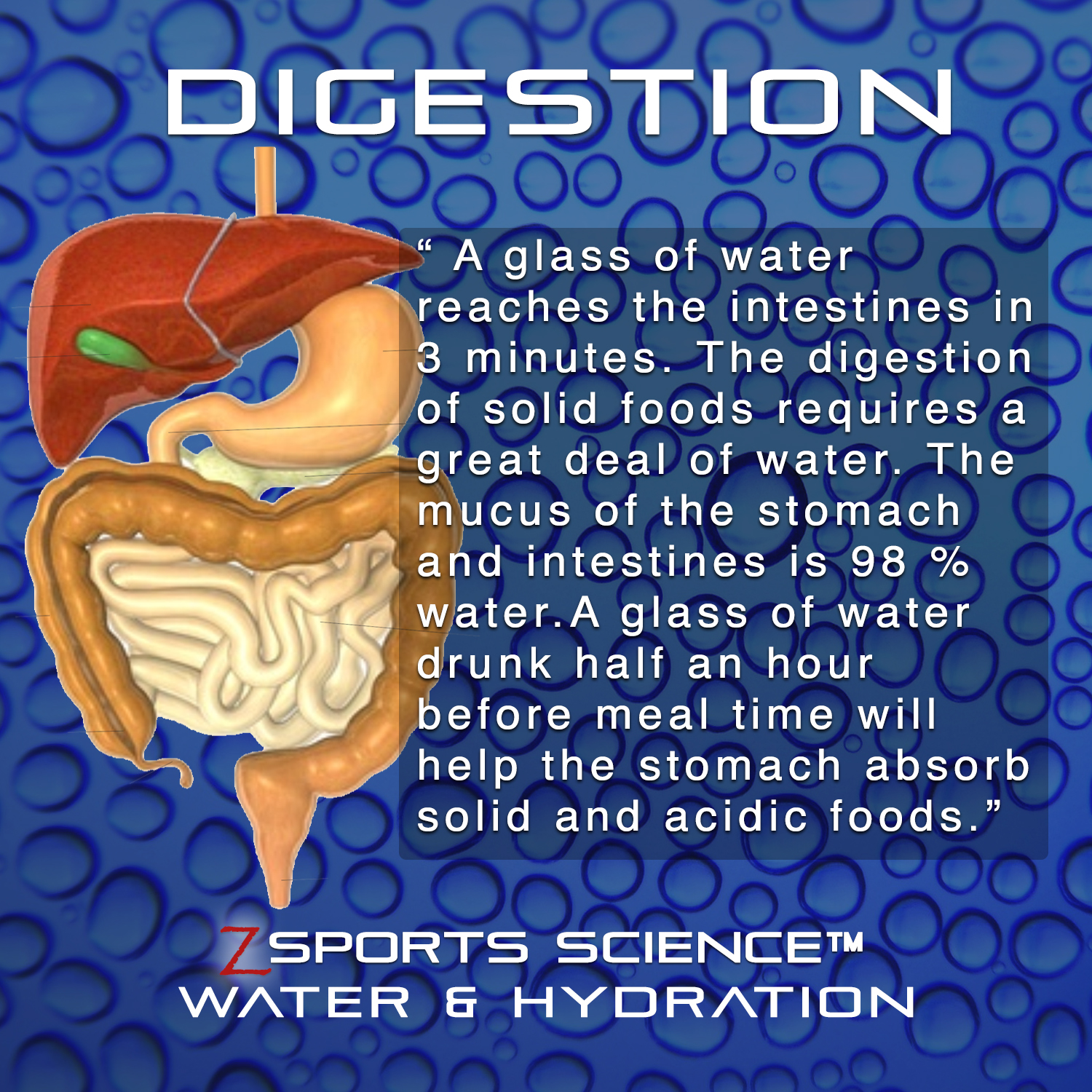 Soda Water Digestion at Rachell Anderson blog