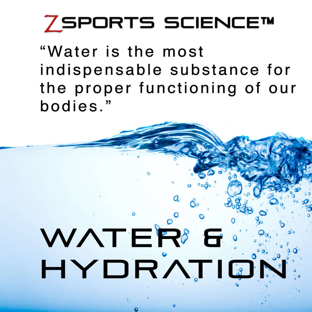 Water & Hydration card